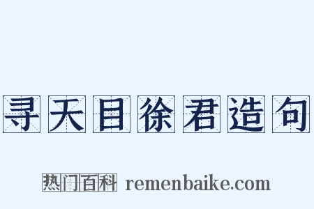 寻天目徐君造句是什么意思的图片